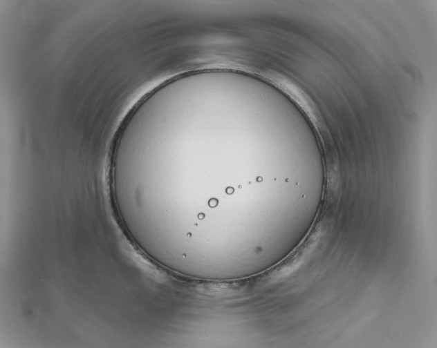 X0000112501149200908311447