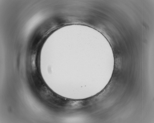 X0000112501150200908311447