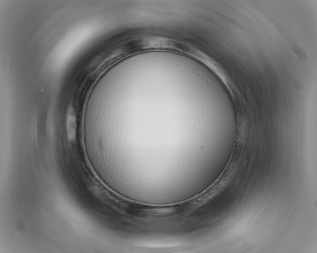 X0000112501151200908311447