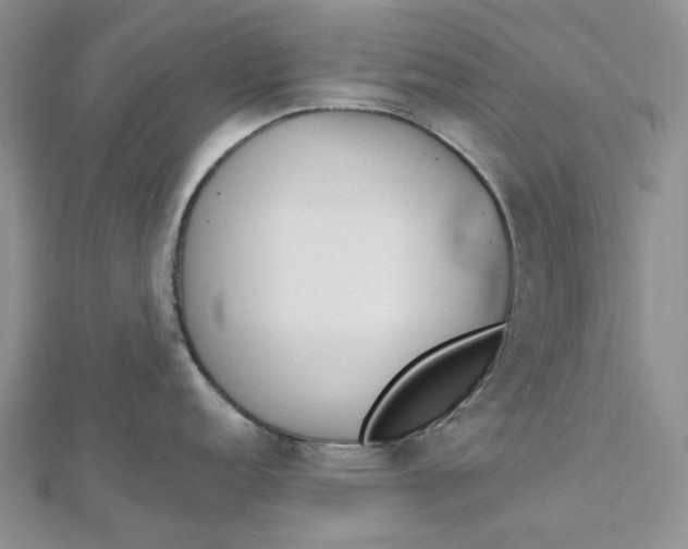 X0000112501152200908311447