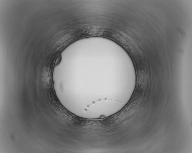 X0000112501154200908311446