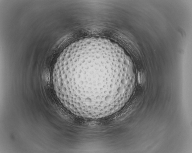 X0000112501155200908311446