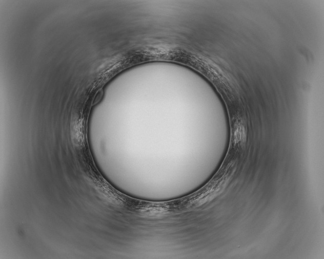 X0000112501156200908311446