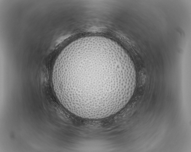 X0000112501158200908311446