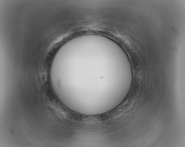 X0000112501159200908311446