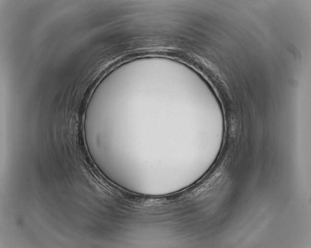 X0000112501161200908311446