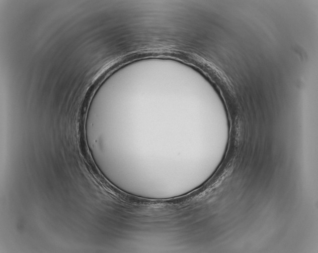 X0000112501162200908311446