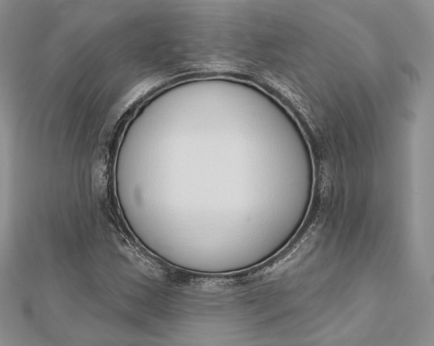 X0000112501163200908311446