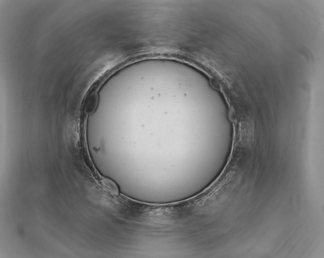 X0000112501165200908311446