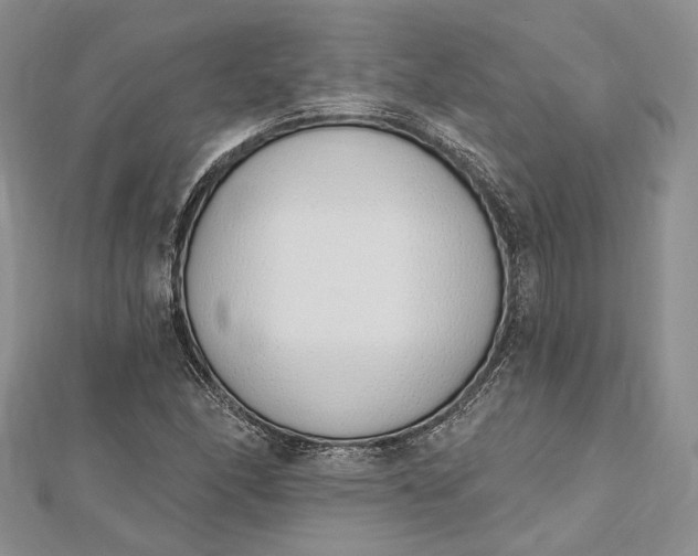 X0000112501166200908311446