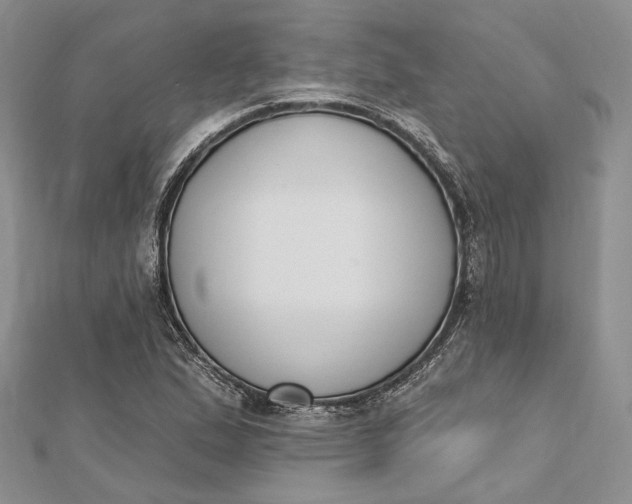 X0000112501167200908311446