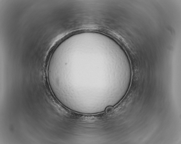 X0000112501168200908311446