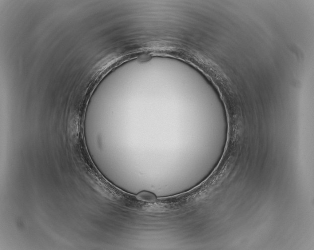 X0000112501169200908311446