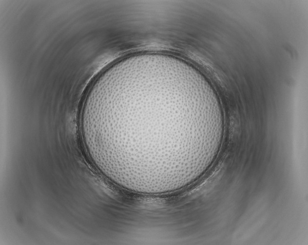 X0000112501170200908311446