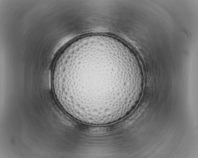 X0000112501171200908311446