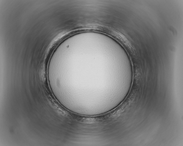 X0000112501172200908311446