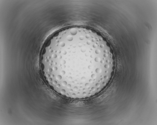 X0000112501174200908311446