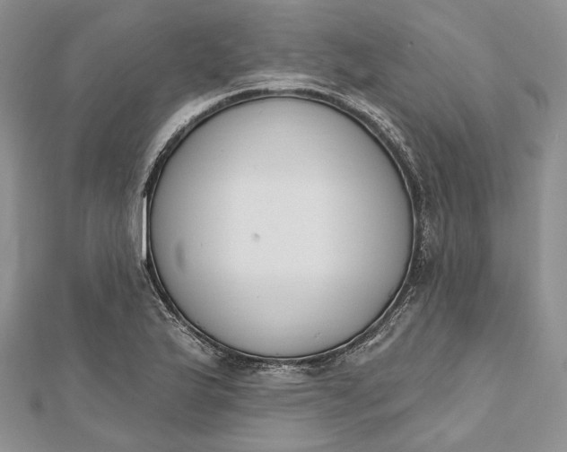 X0000112501175200908311446