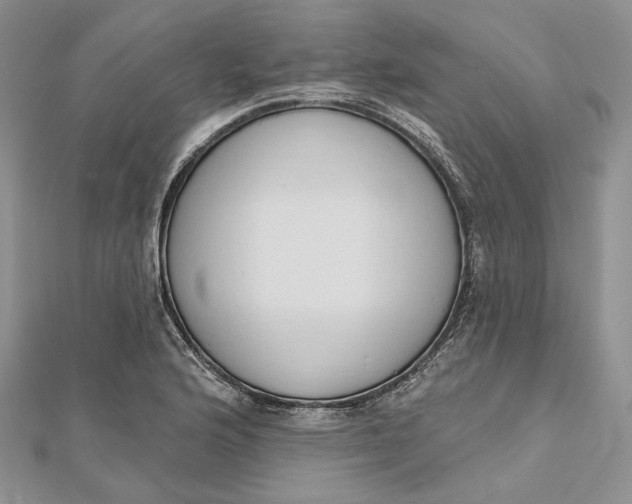 X0000112501176200908311446