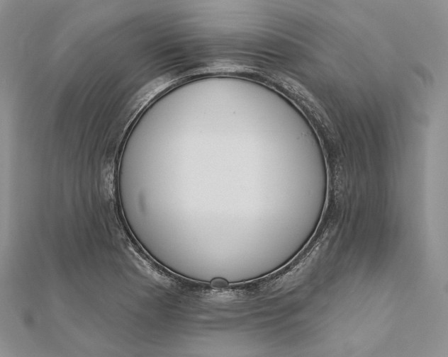 X0000112501177200908311446