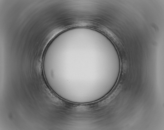 X0000112501178200908311446