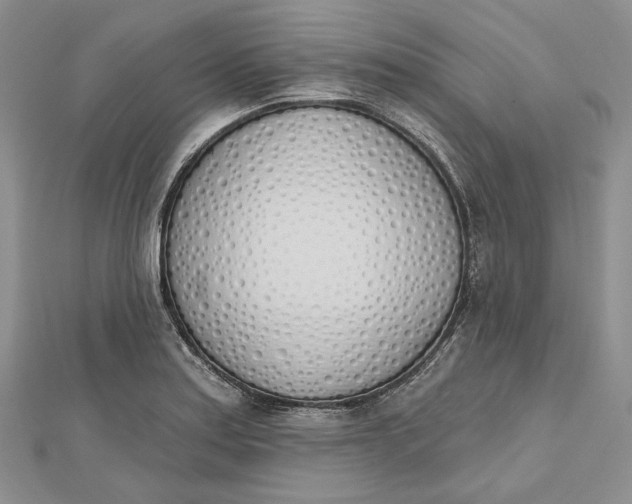 X0000112501179200908311446