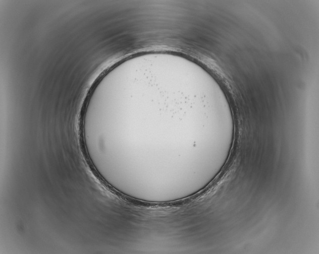 X0000112501181200908311446