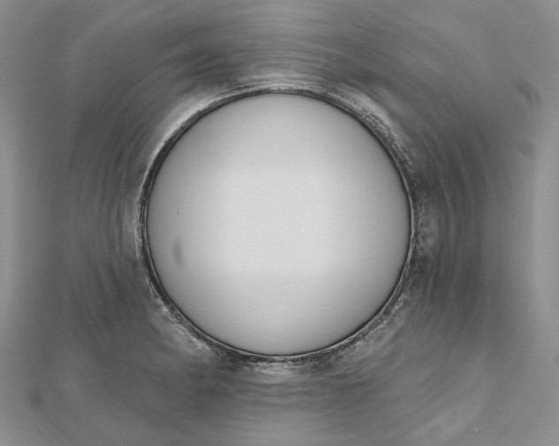 X0000112501182200908311446