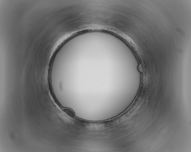 X0000112501183200908311446