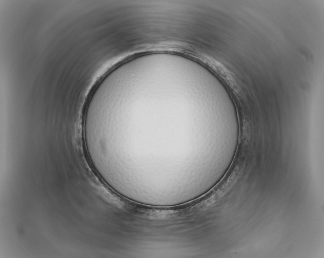 X0000112501184200908311446