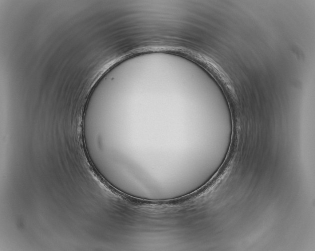 X0000112501185200908311446