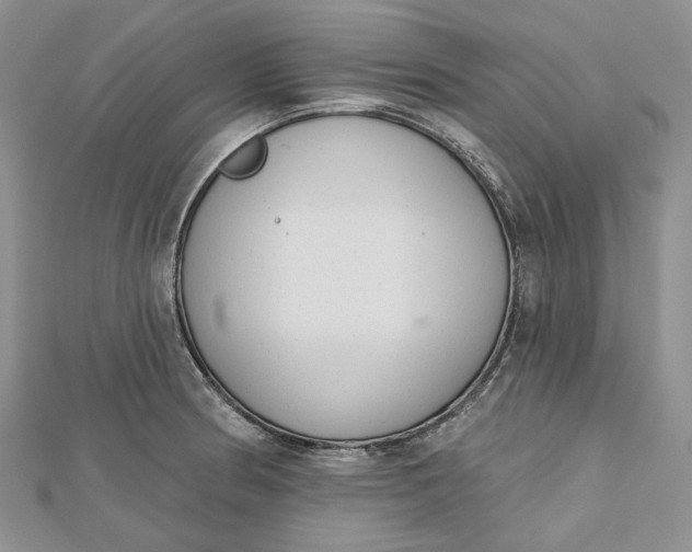 X0000112501186200908311446