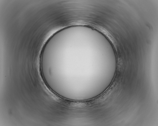 X0000112501187200908311446