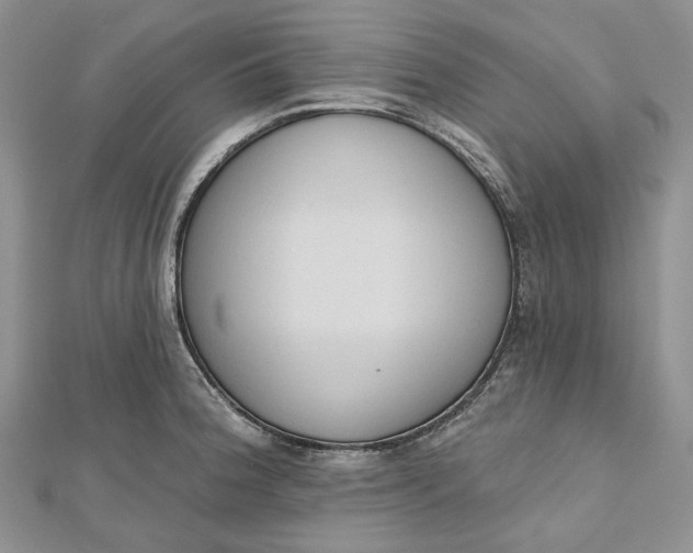 X0000112501188200908311446