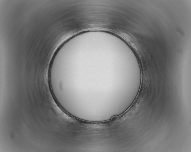 X0000112501189200908311446