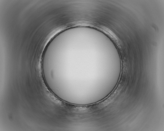 X0000112501190200908311446