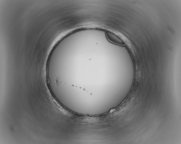 X0000112501191200908311446