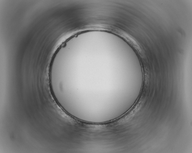 X0000112501192200908311446