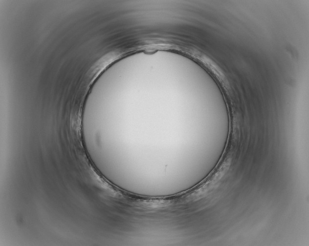 X0000112501193200908311446