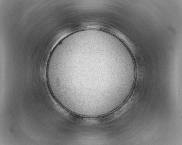 X0000112501194200908311446