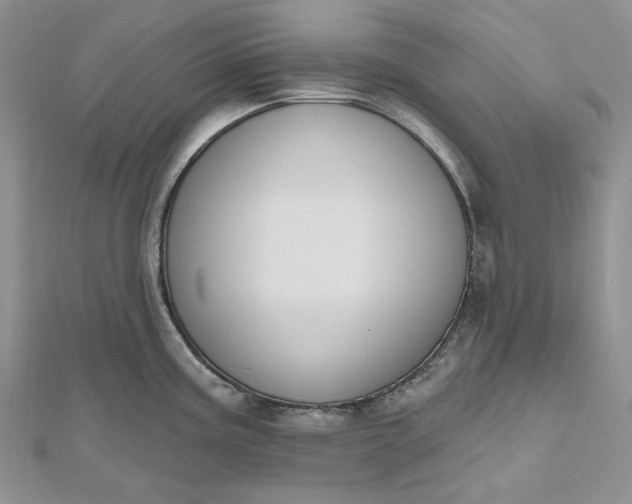 X0000112501195200908311446