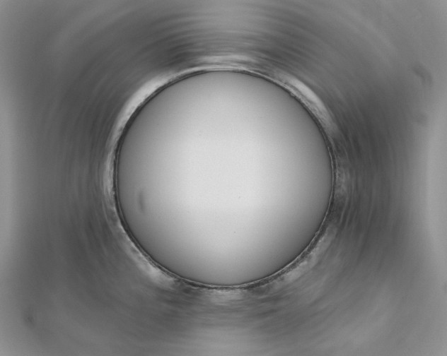 X0000112501196200908311446