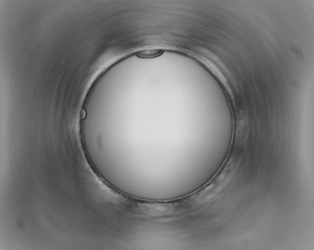 X0000112501197200908311446