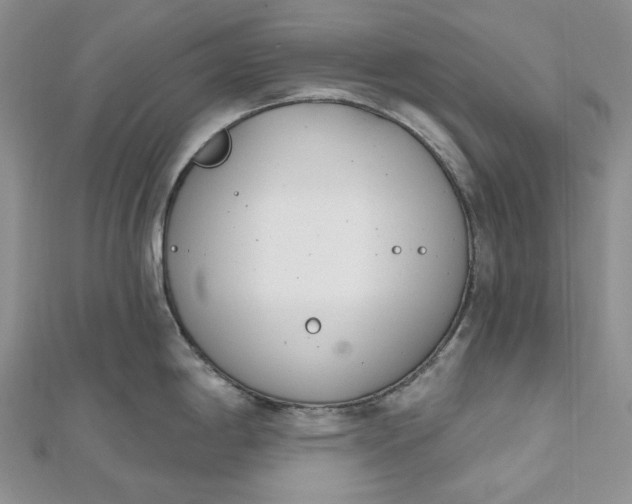 X0000112501198200908311445