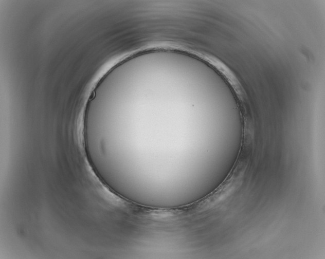 X0000112501199200908311445