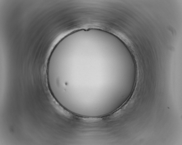 X0000112501200200908311445