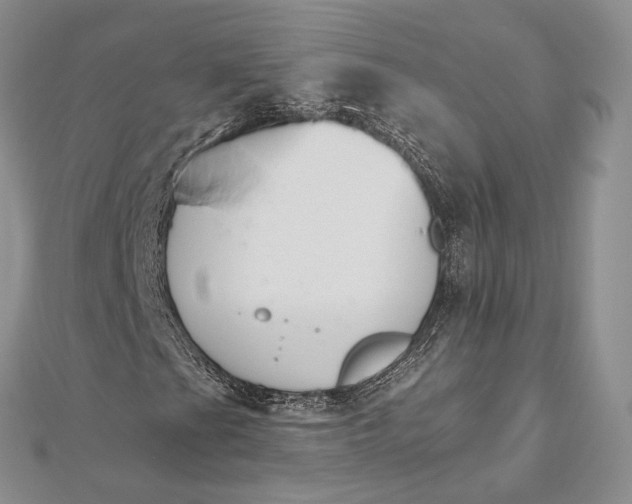 X0000112501201200908311445