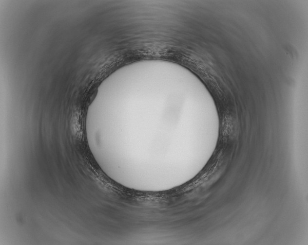 X0000112501202200908311445