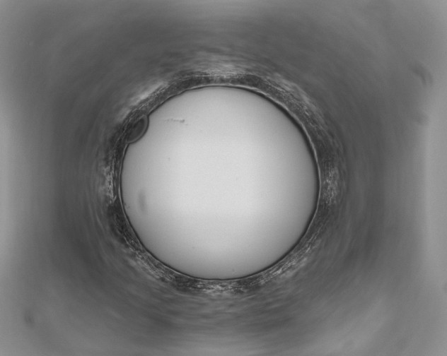 X0000112501205200908311445