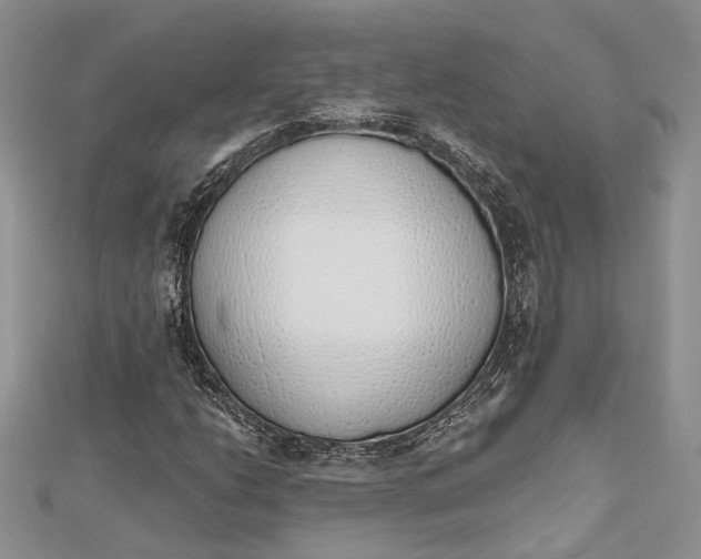 X0000112501206200908311445